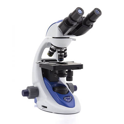 Microscope binoculaire
