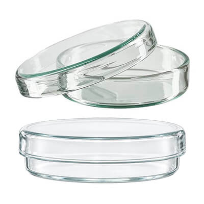 Boite de pétri en verre